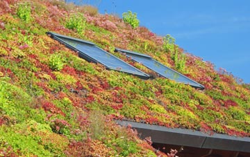 Ramslye living roof systems